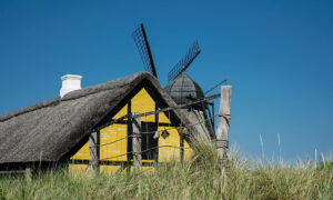 Museumsrundvisning Skagen